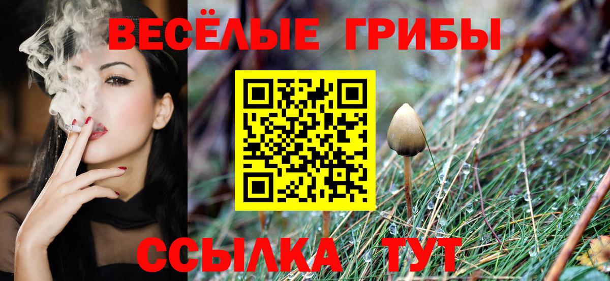 Галлюциногенные грибы GOLDEN TEACHER  Вход с VPN  Павлово  Псилоцибиновые грибы Magic Shrooms 